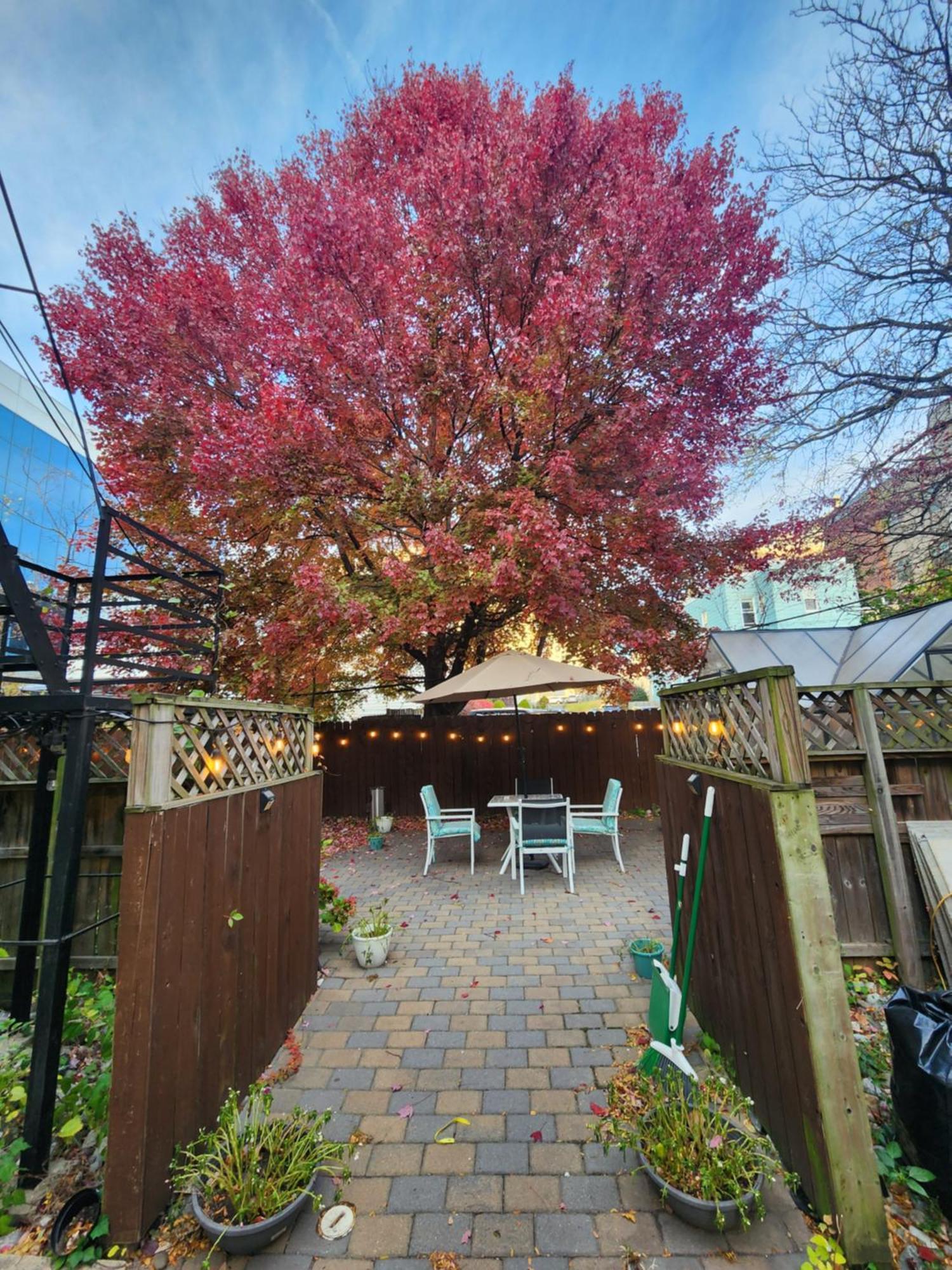 Magnolia Stay Near New York City جيرسي سيتي المظهر الخارجي الصورة